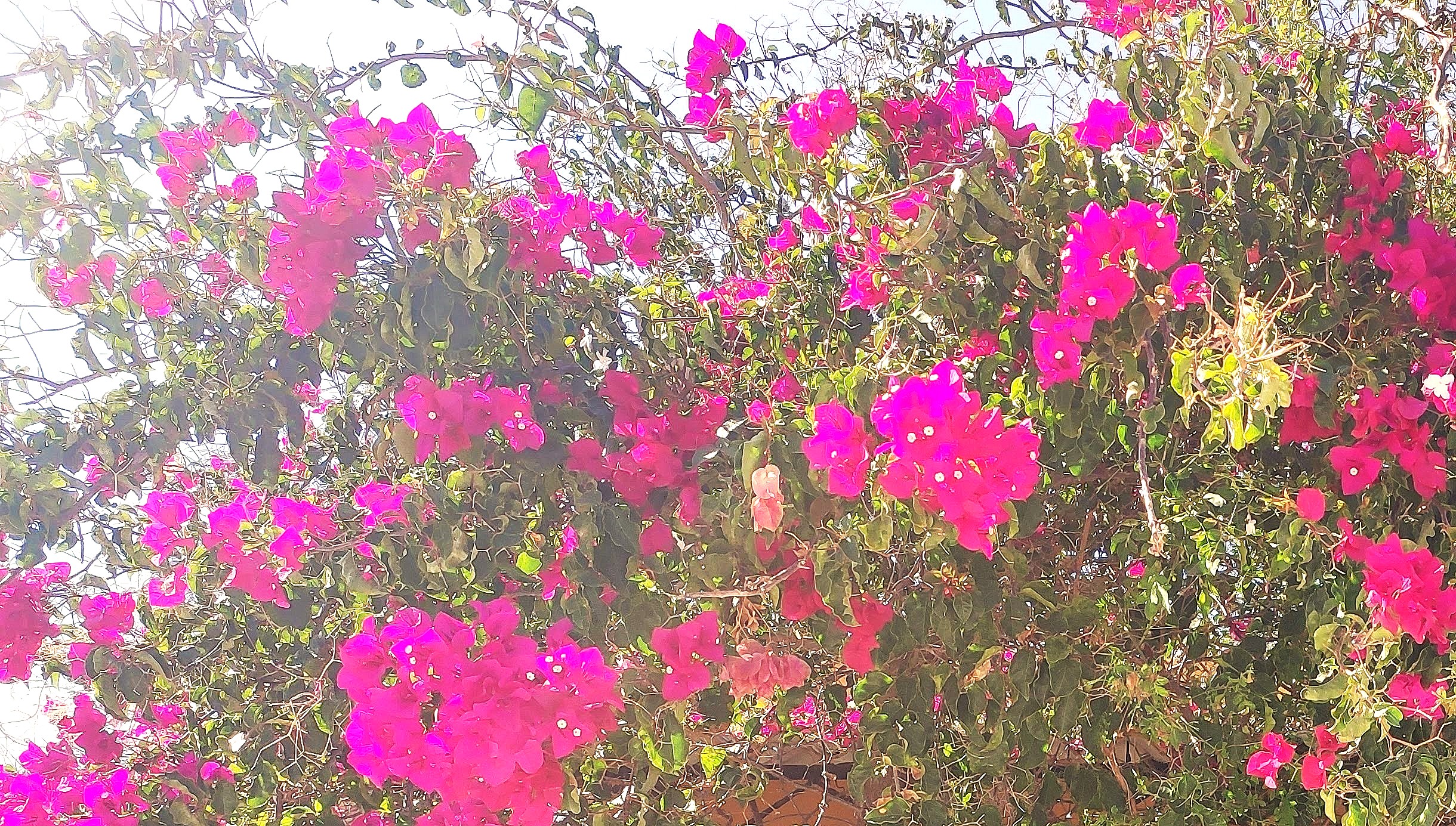 Retiro en Cádiz